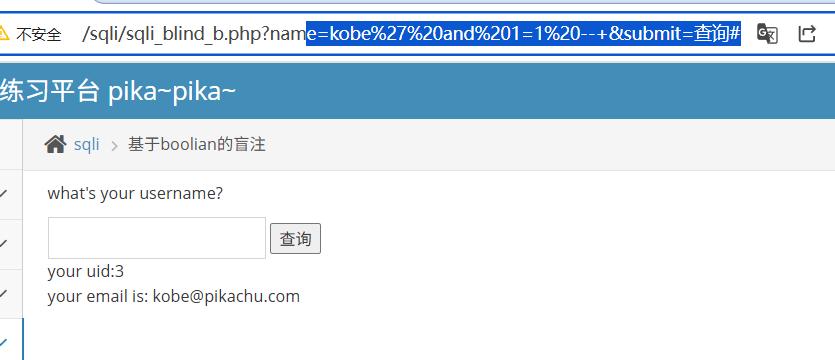 pikachu-sql-9.png